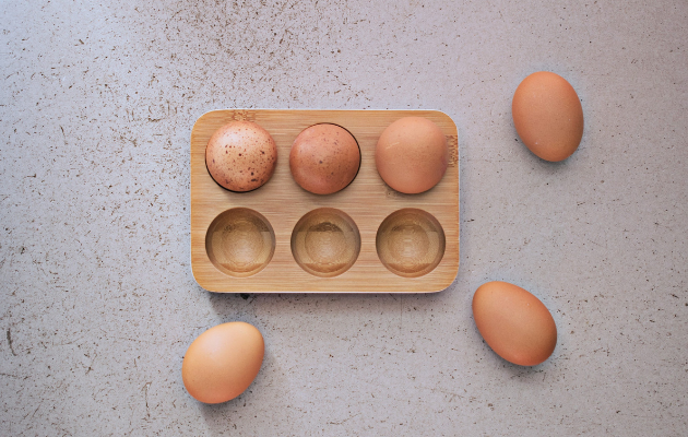 Comment conserver ses œufs ?