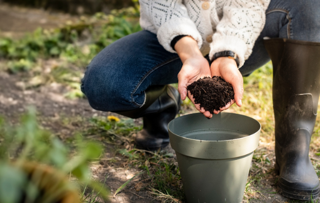 Que faire de son compost ?